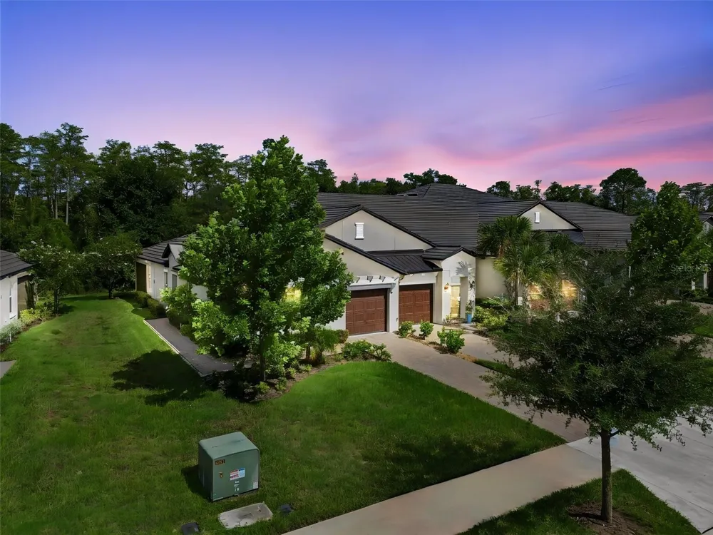 16842 FORGE SURF STREET Land O Lakes, FL 34638