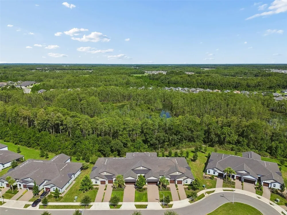 16842 FORGE SURF STREET Land O Lakes, FL 34638