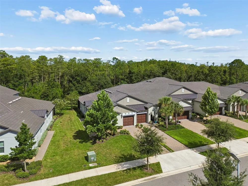 16842 FORGE SURF STREET Land O Lakes, FL 34638