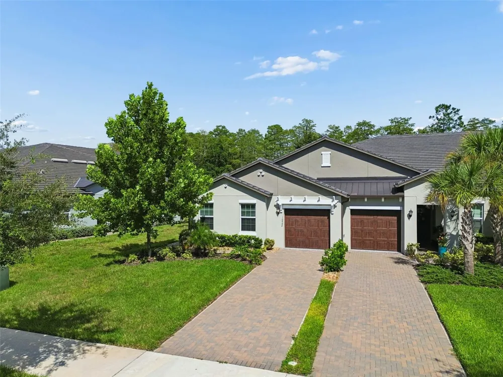 16842 FORGE SURF STREET Land O Lakes, FL 34638