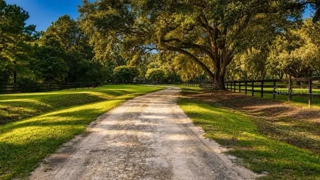 16525 SW 5TH PLACE Newberry, FL 32669