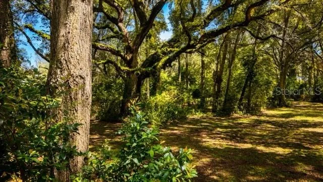 16525 SW 5TH PLACE Newberry, FL 32669