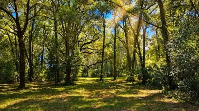 16525 SW 5TH PLACE Newberry, FL 32669