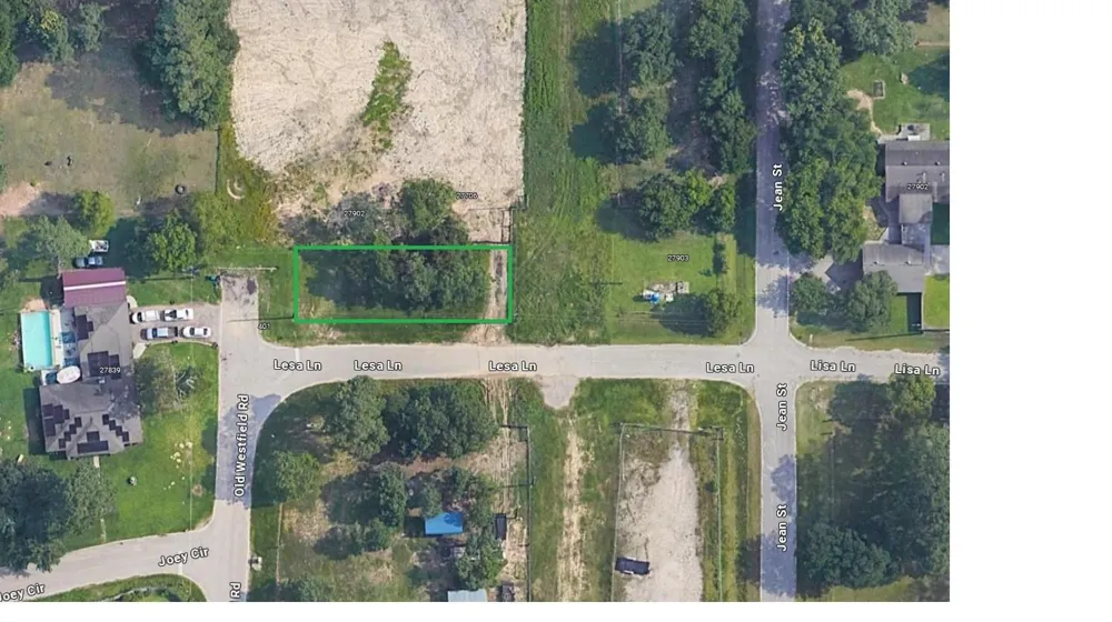 Lesa Lane Spring, TX 77373