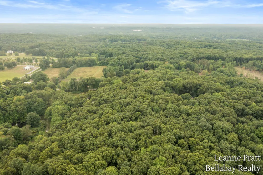 817 W Kirby Road Bedford Charter Township, MI 49017