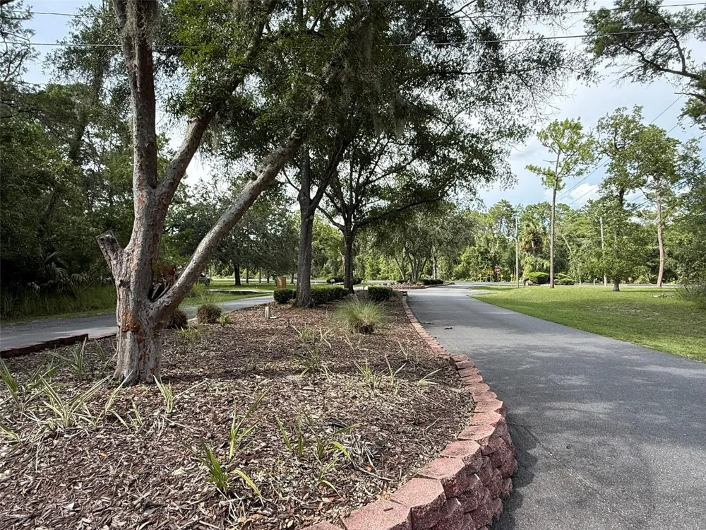 13128 NE 7TH LOOP Silver Springs, FL 34488