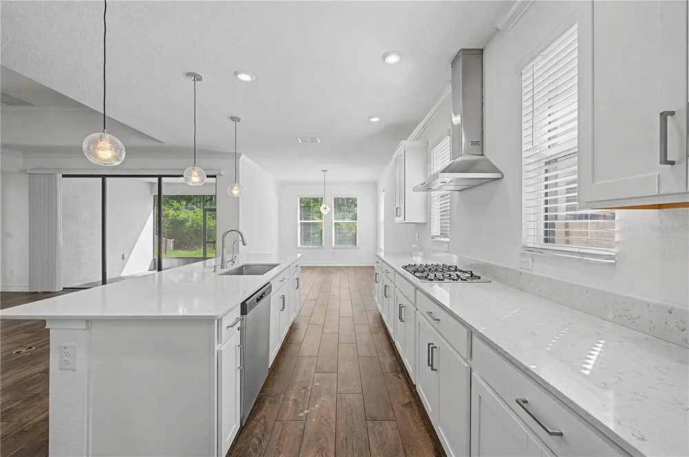9826 CARABINER WAY Land O Lakes, FL 34637
