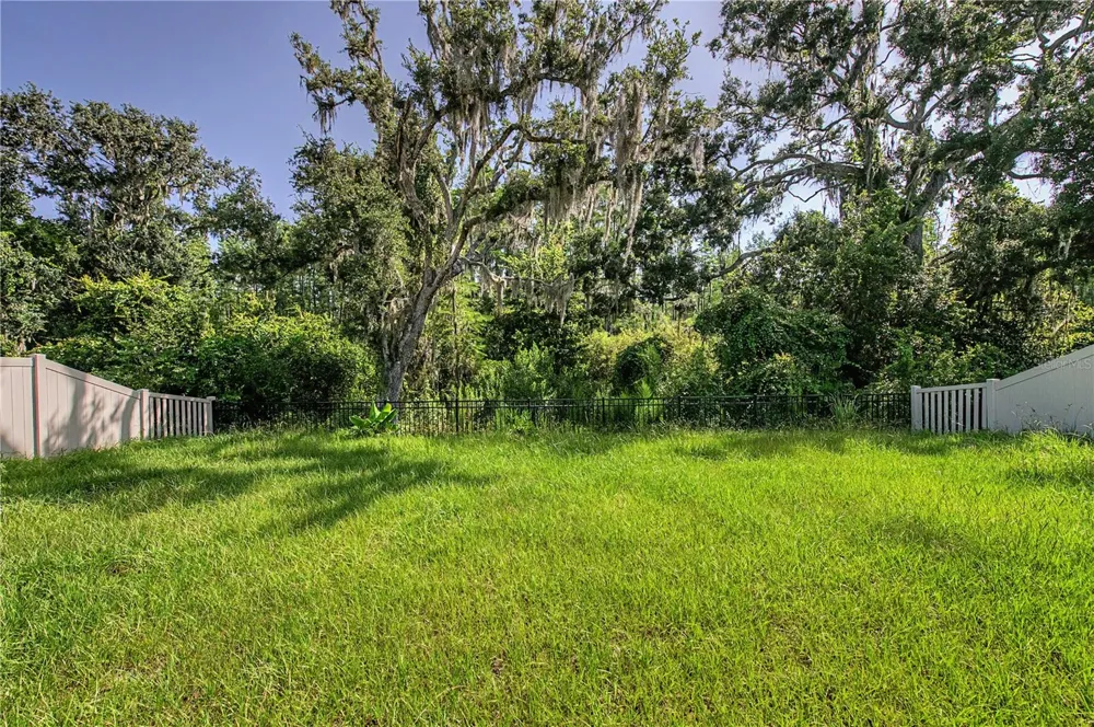 9826 CARABINER WAY Land O Lakes, FL 34637
