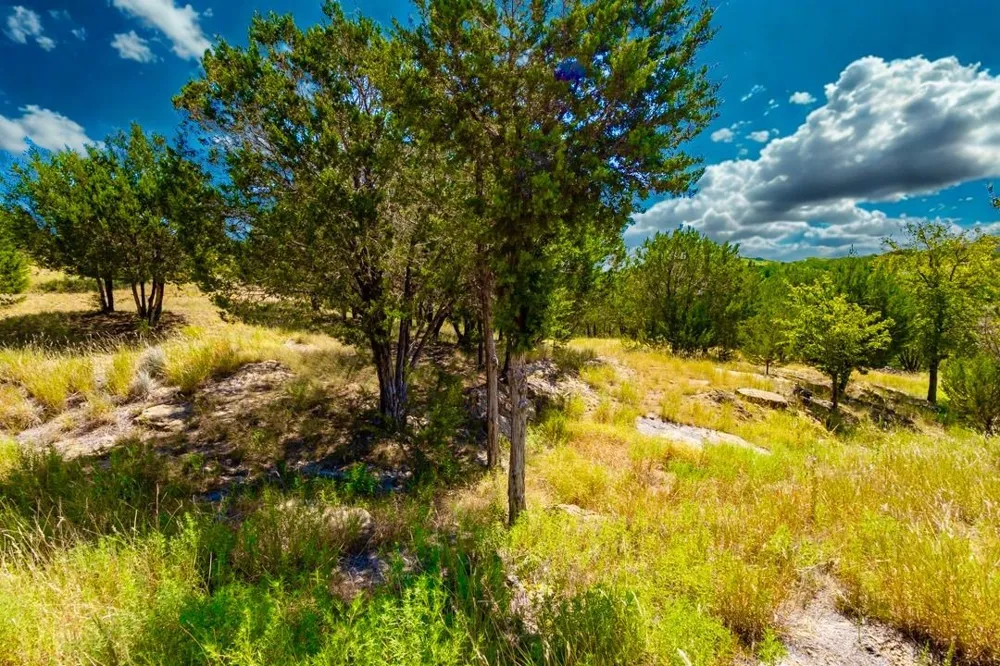 1636 Sawtooth Mountain Road Possum Kingdom Lake, TX 76449