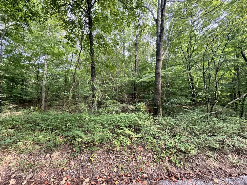 1 Tatum Lane SW Lyles, TN 37098