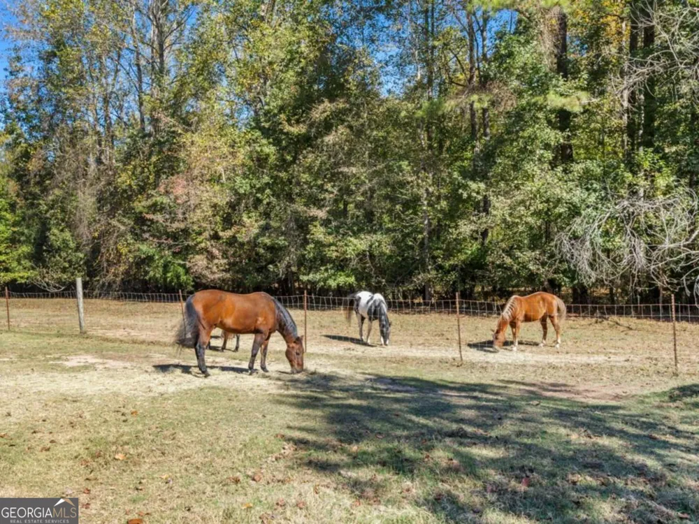 7790 Atlanta Newnan RD Chattahoochee Hills, GA 30268