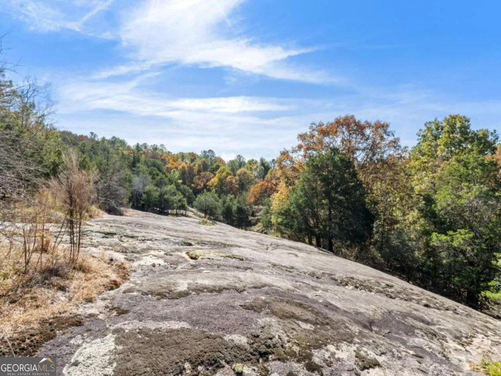 7790 Atlanta Newnan RD Chattahoochee Hills, GA 30268