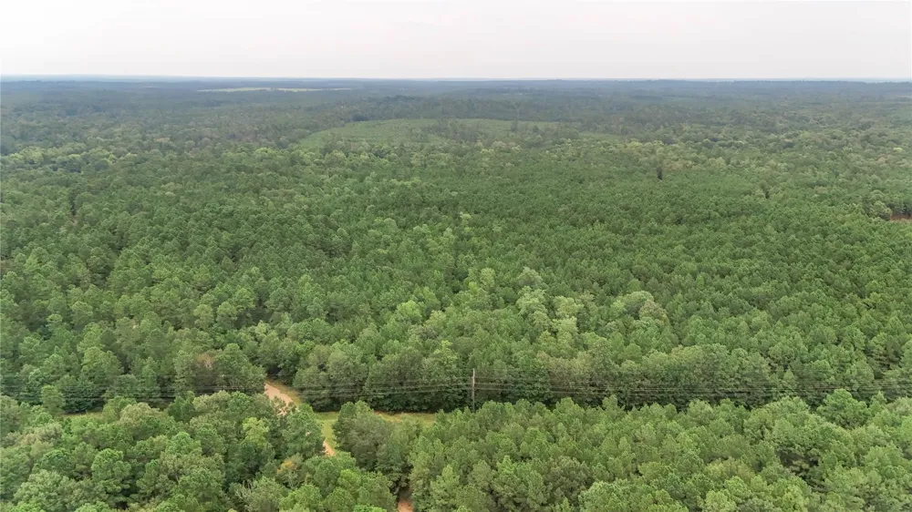John Hensley Road Livingston, TX 77351