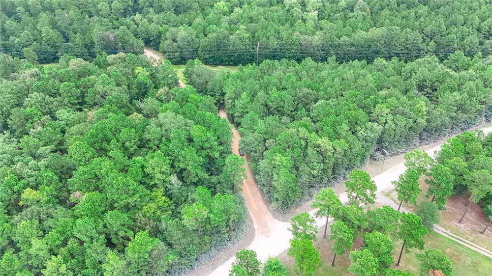 John Hensley Road Livingston, TX 77351