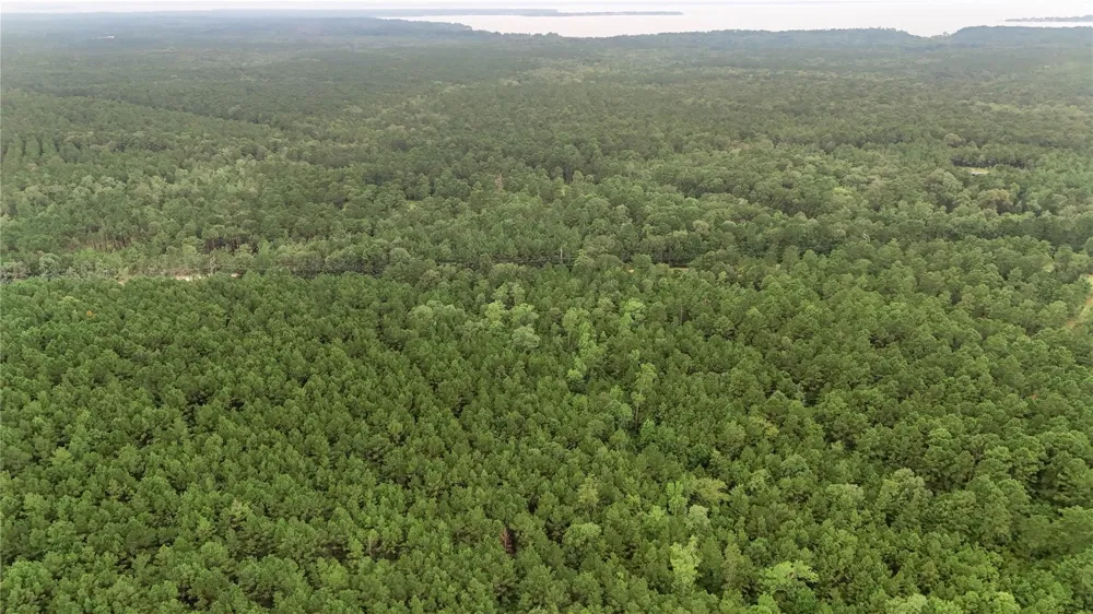 John Hensley Road Livingston, TX 77351