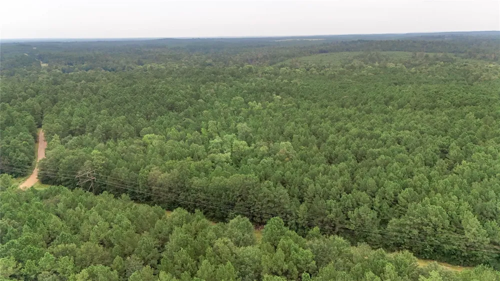 John Hensley Road Livingston, TX 77351