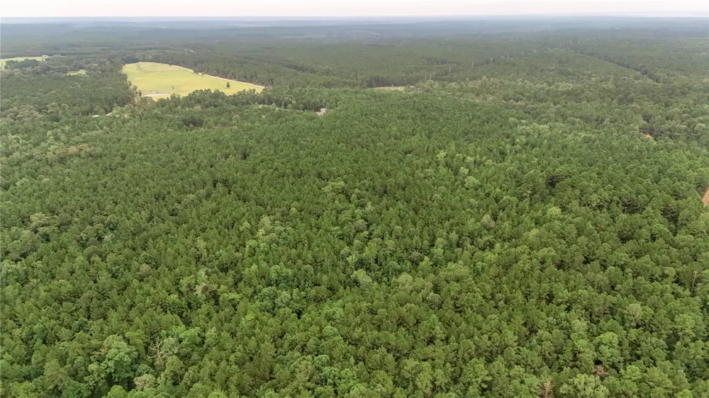 John Hensley Road Livingston, TX 77351