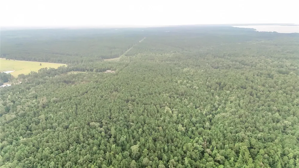 John Hensley Road Livingston, TX 77351