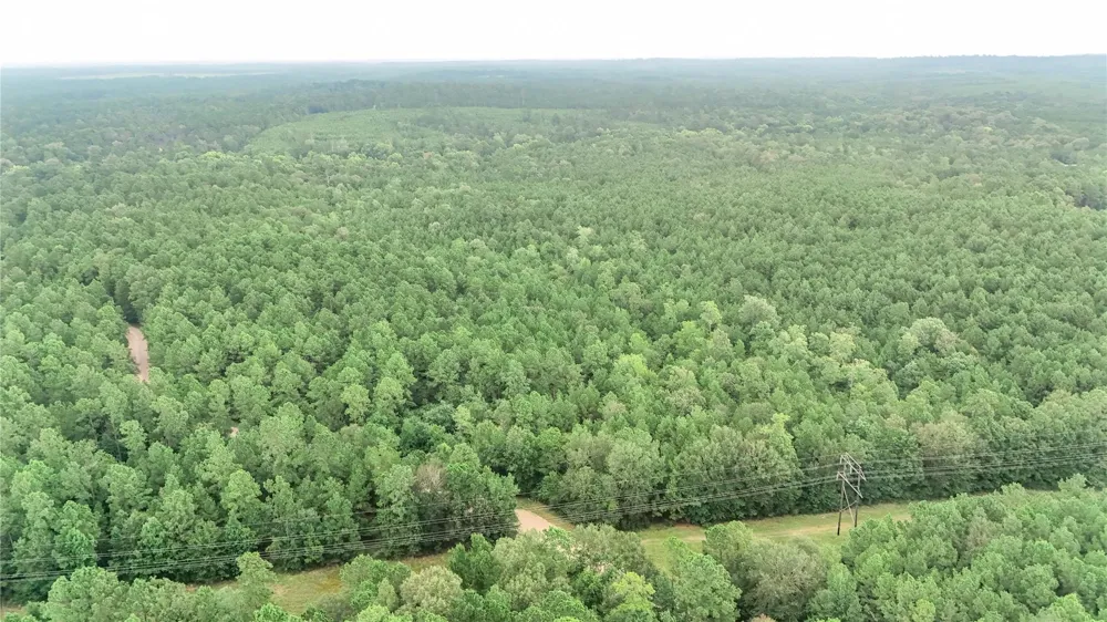 John Hensley Road Livingston, TX 77351