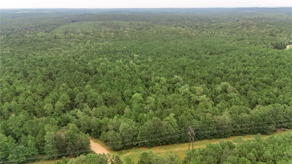 John Hensley Road Livingston, TX 77351
