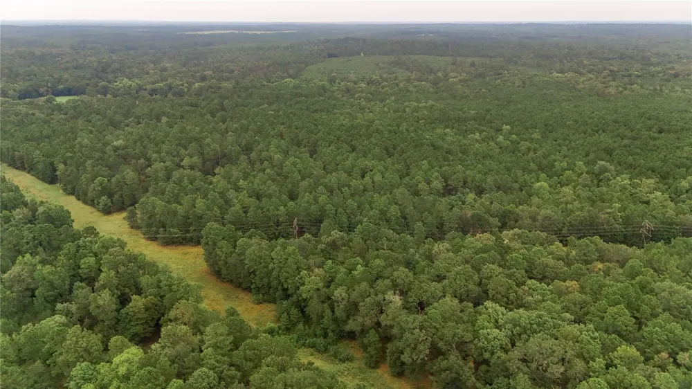 John Hensley Road Livingston, TX 77351