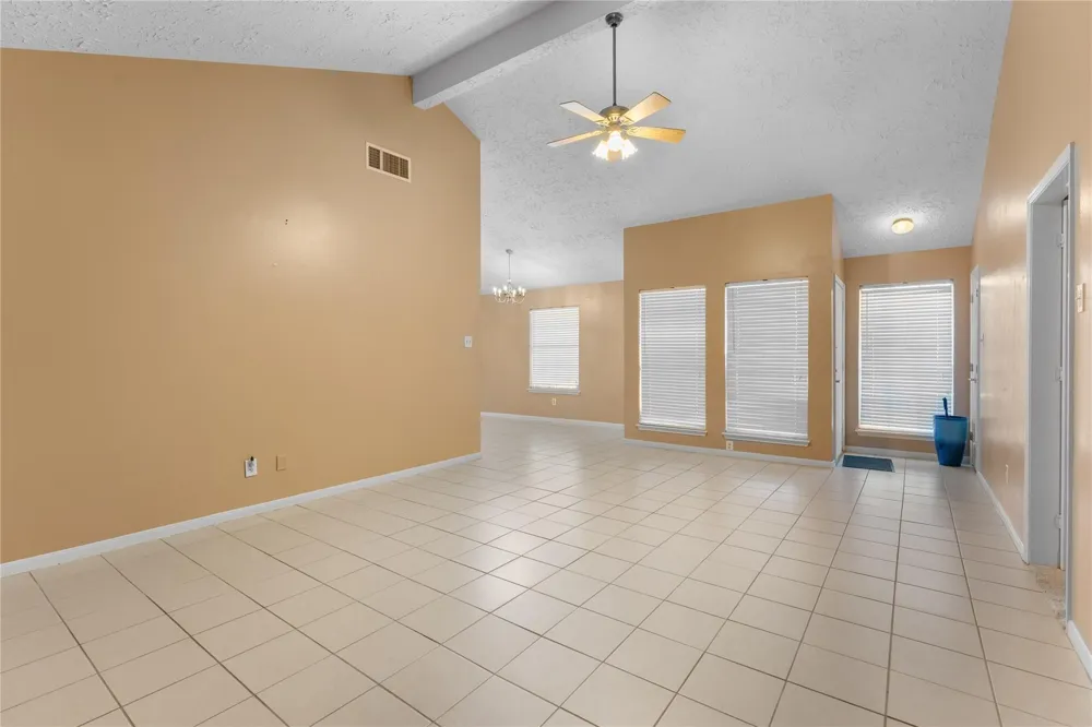 20 Baron Lane Missouri City, TX 77459