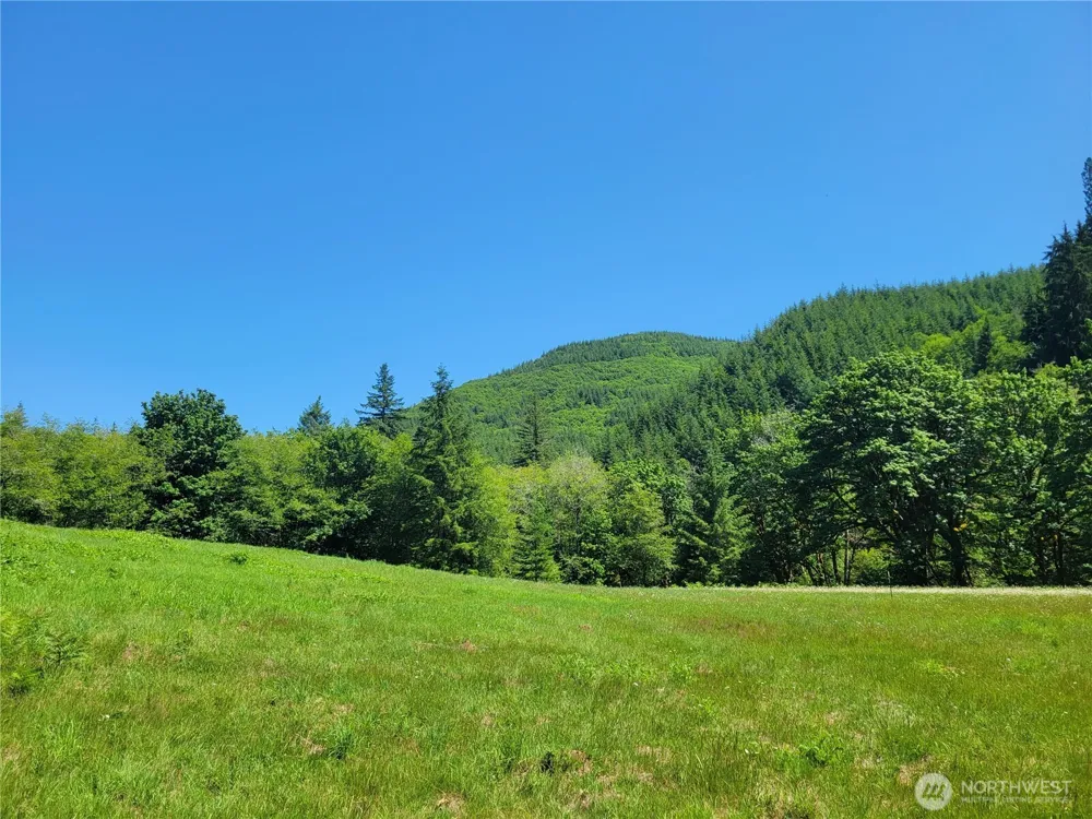 8820 Rose Valley Road Kelso, WA 98626