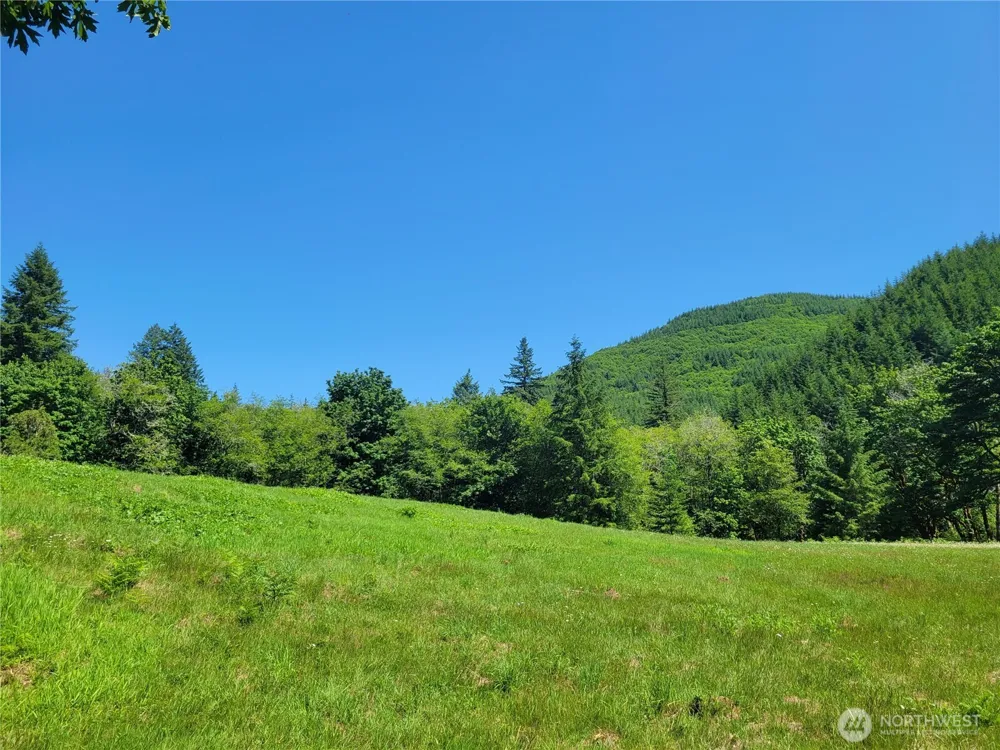 8820 Rose Valley Road Kelso, WA 98626