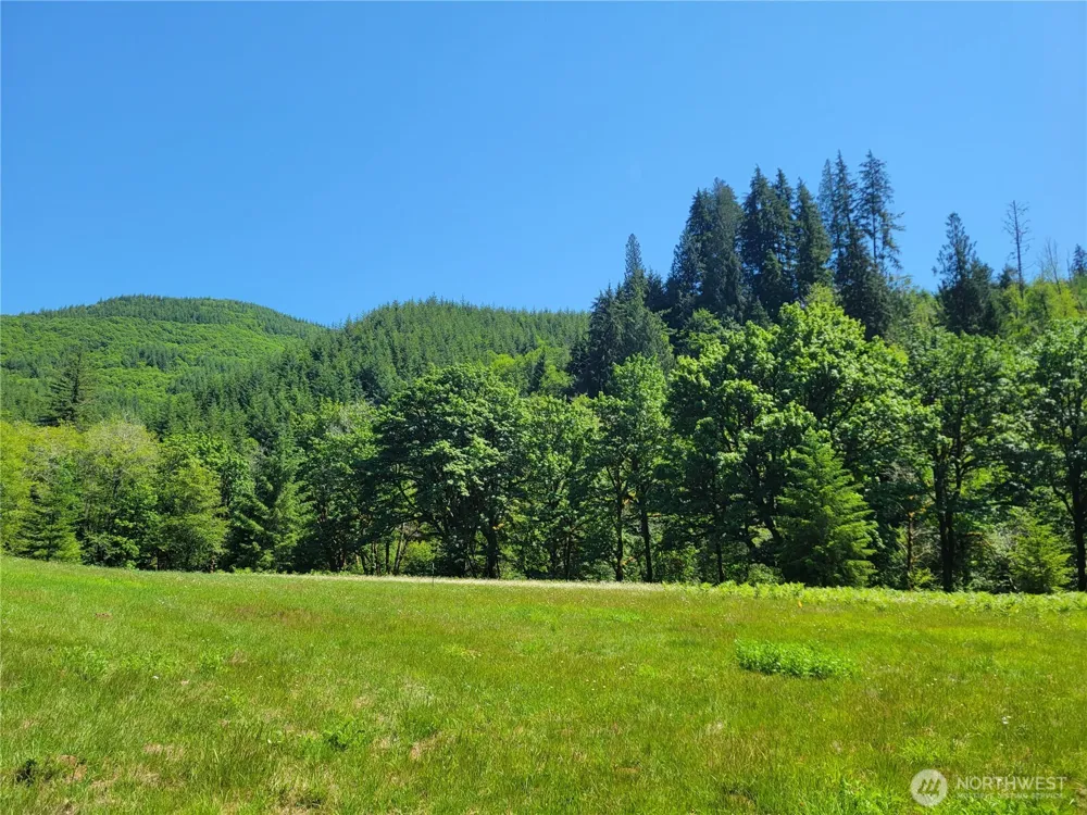 8820 Rose Valley Road Kelso, WA 98626