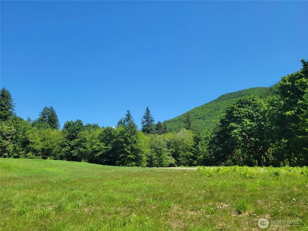 8820 Rose Valley Road Kelso, WA 98626