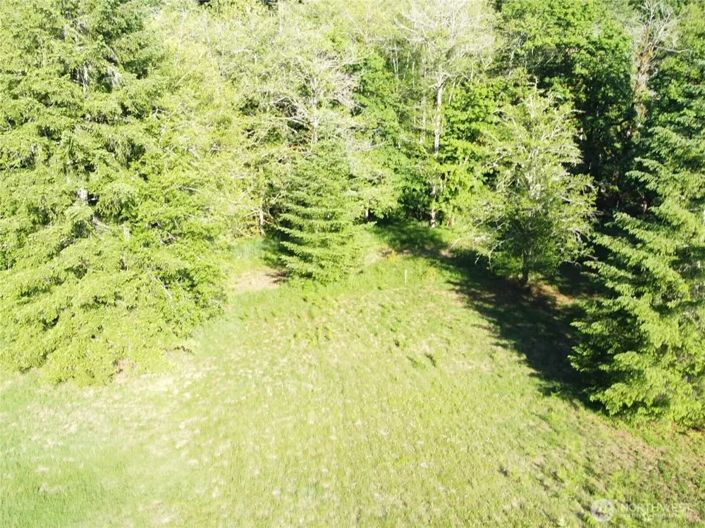 8820 Rose Valley Road Kelso, WA 98626