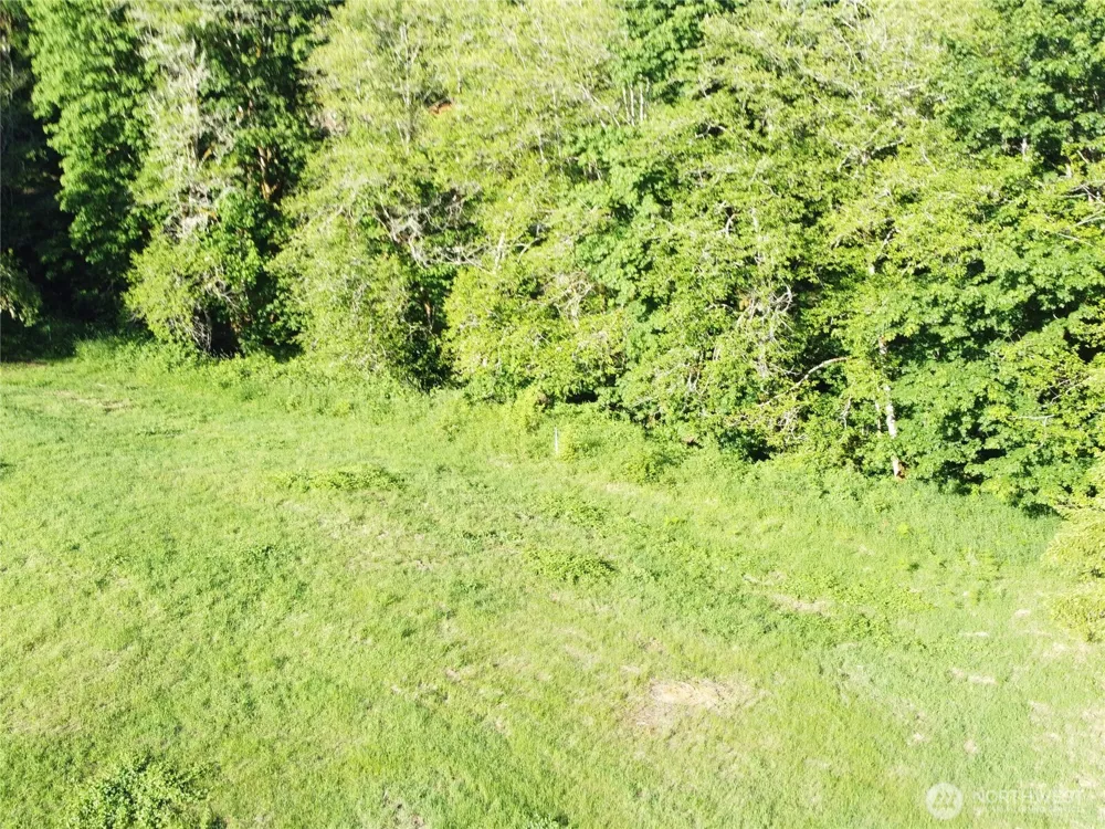8820 Rose Valley Road Kelso, WA 98626