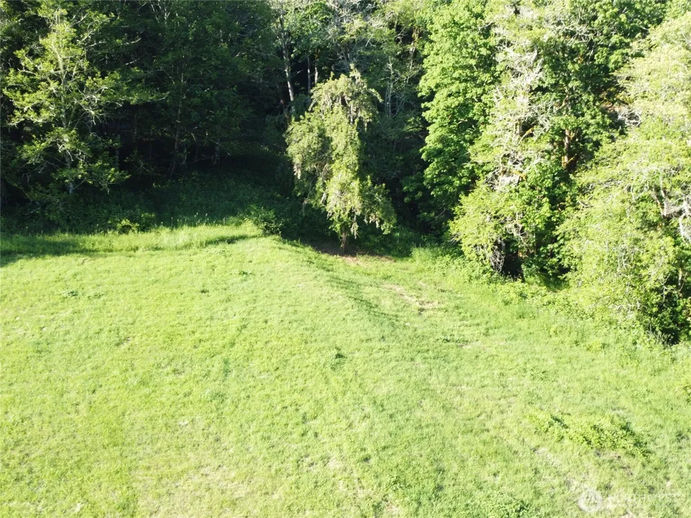 8820 Rose Valley Road Kelso, WA 98626