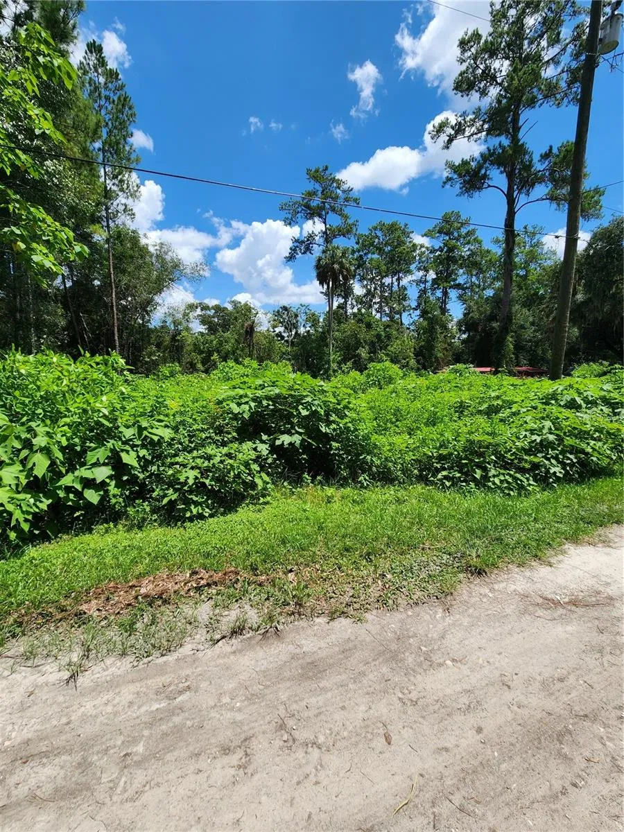 5221 SE 25TH AVENUE ocala, FL 34480