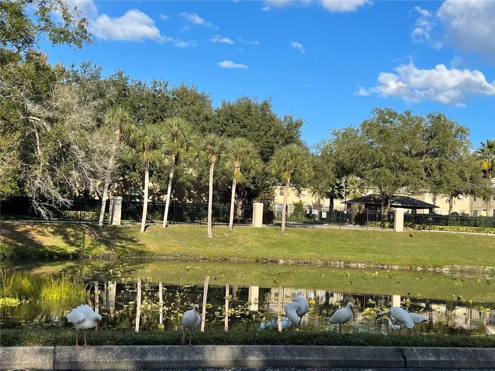 234 AFTON SQUARE #208 Altamonte Springs, FL 32714