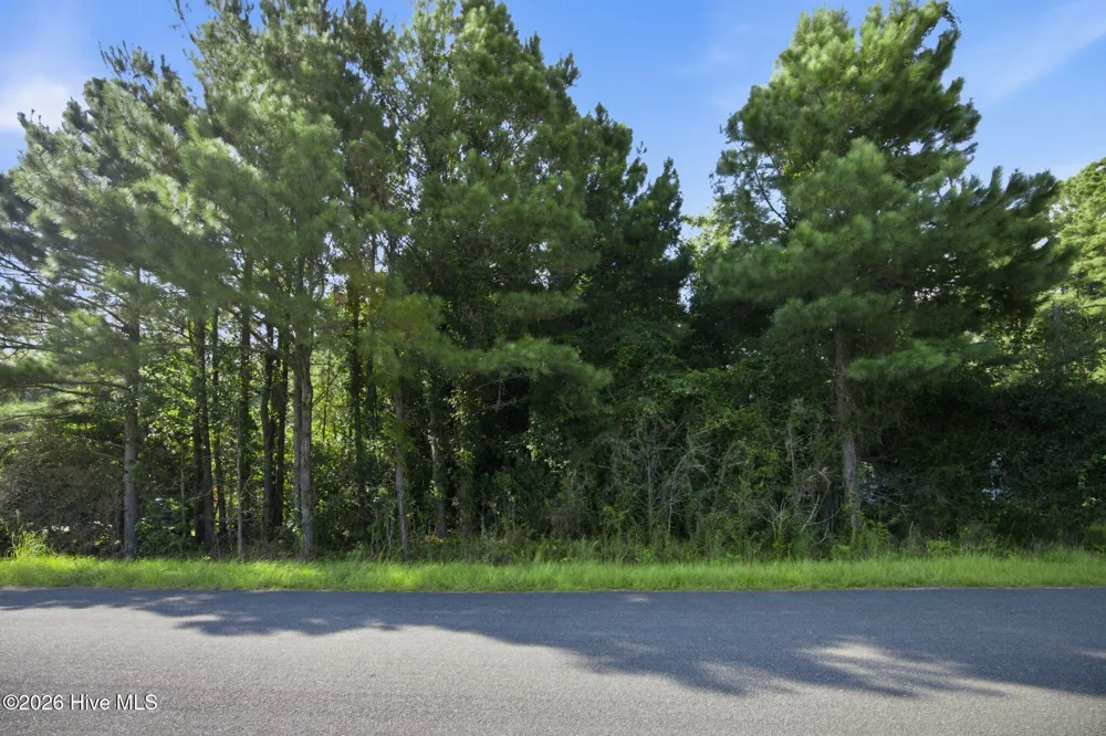 704 Gordon Lewis Drive SE Winnabow, NC 28479