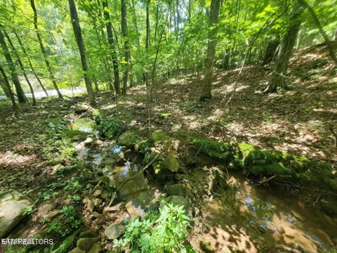 159 Sugarbush Circle