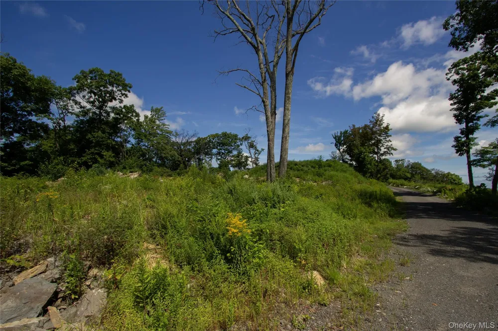 229 Mount Zion Road Marlboro, NY 12542