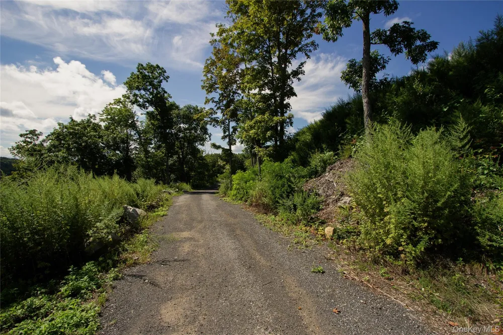 229 Mount Zion Road Marlboro, NY 12542