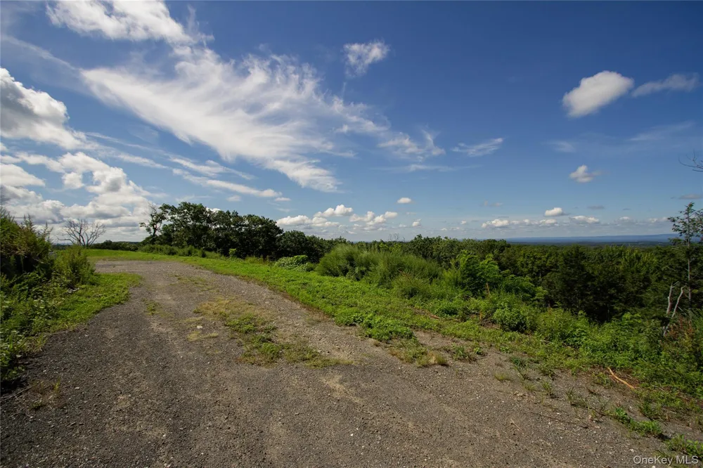 229 Mount Zion Road Marlboro, NY 12542