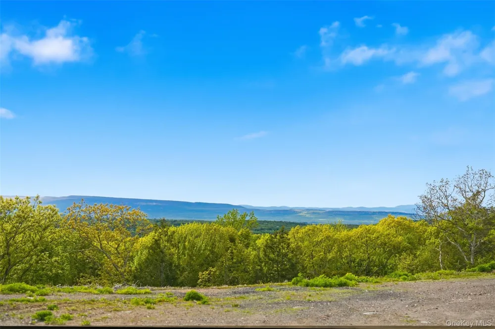 229 Mount Zion Road Marlboro, NY 12542