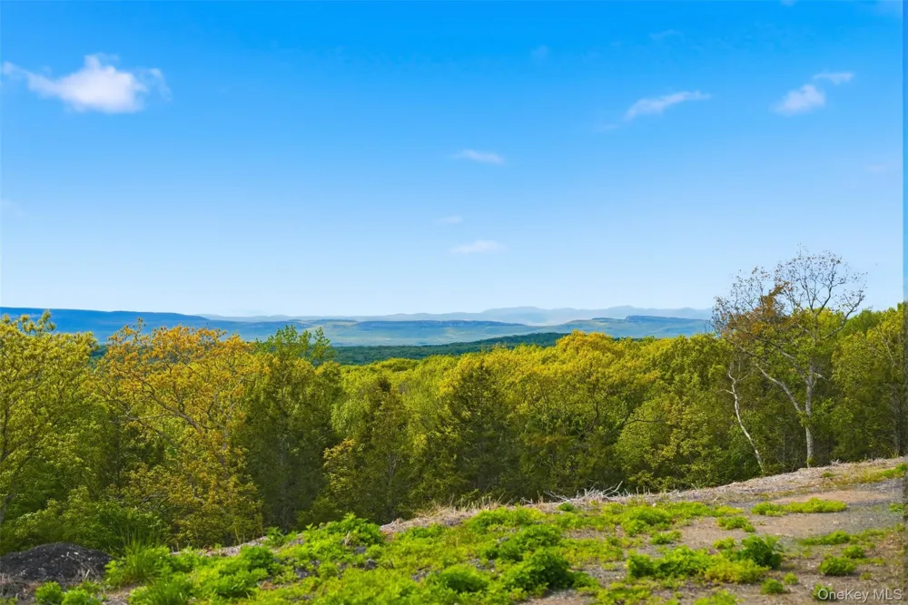 229 Mount Zion Road Marlboro, NY 12542