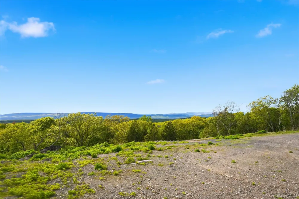 229 Mount Zion Road Marlboro, NY 12542