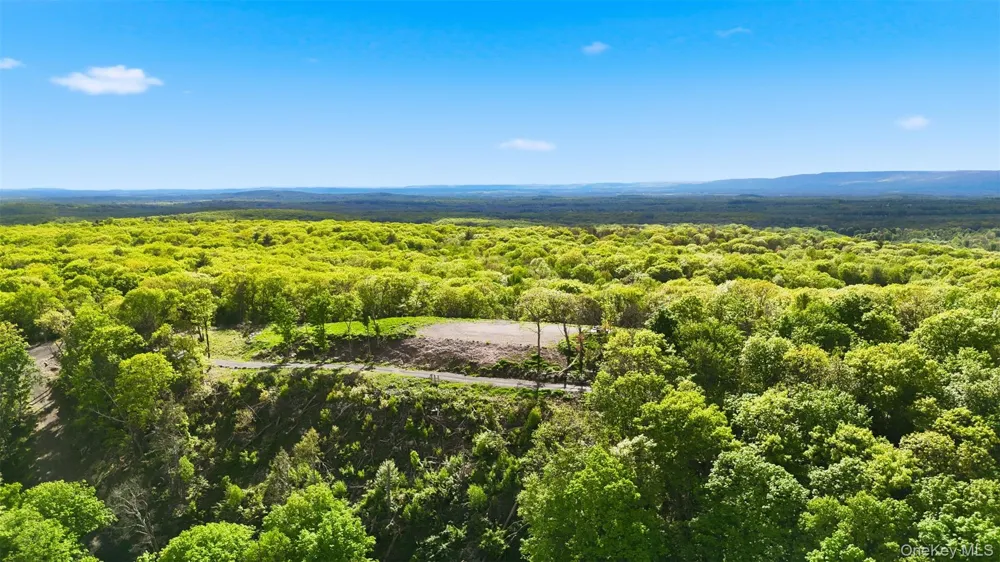 229 Mount Zion Road Marlboro, NY 12542