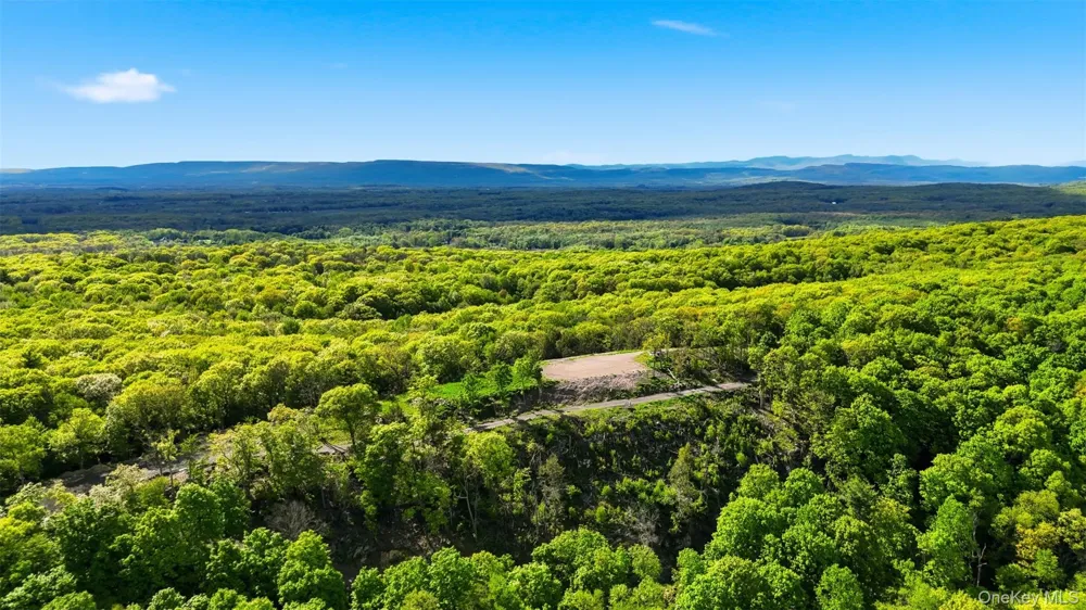 229 Mount Zion Road Marlboro, NY 12542
