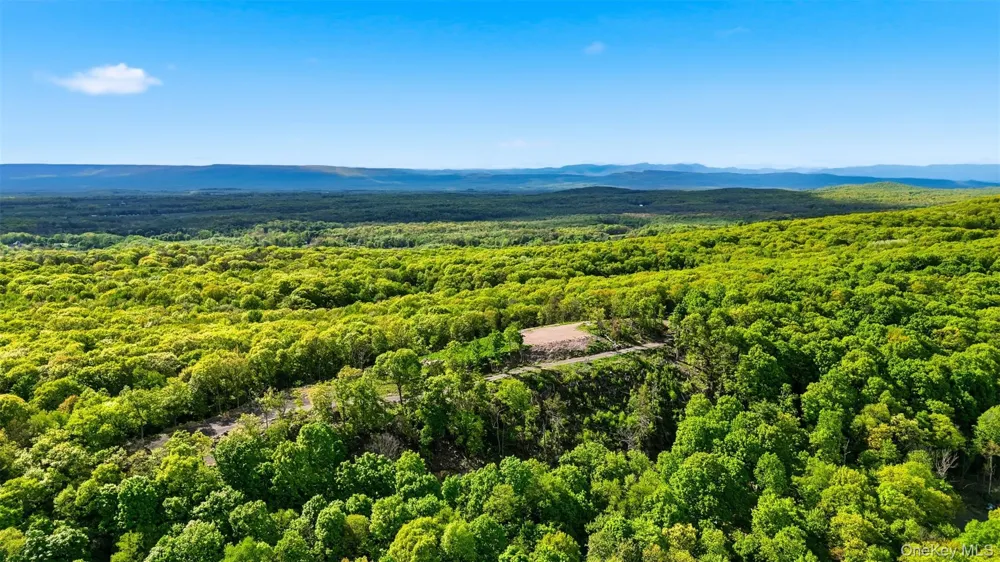 229 Mount Zion Road Marlboro, NY 12542