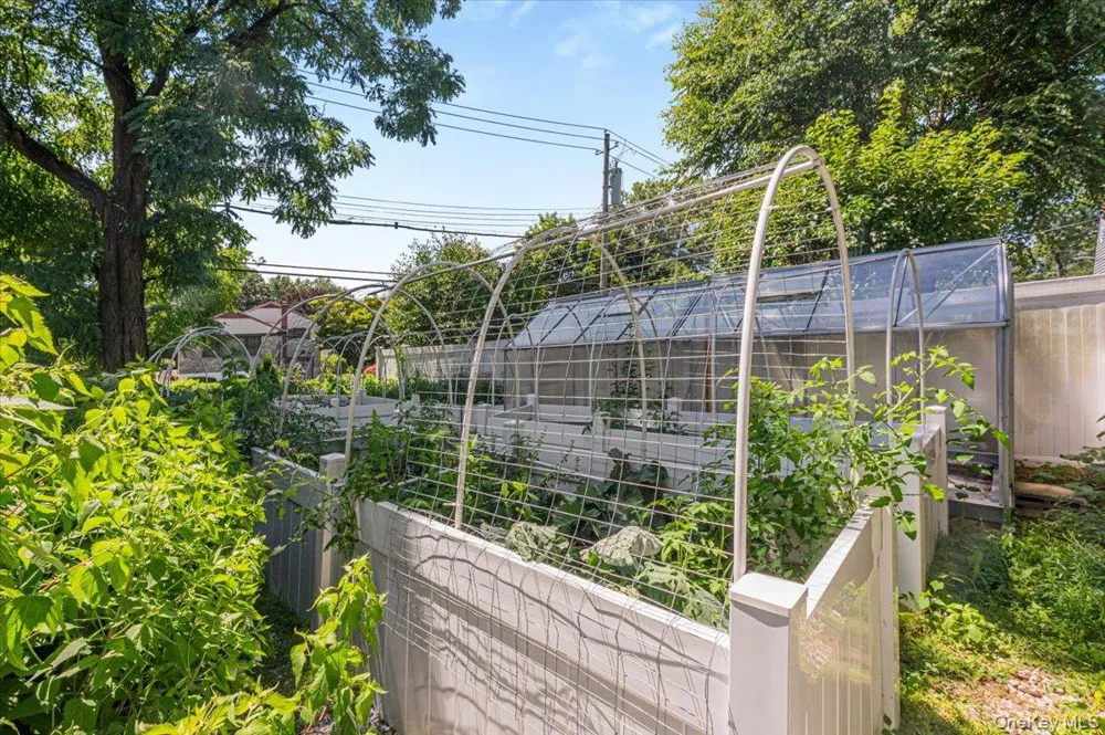 1155 Webster Avenue New Rochelle, NY 10804