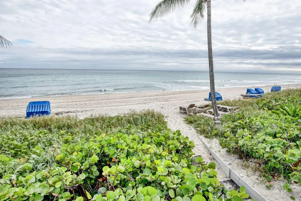 2917 S Ocean Boulevard #401 Highland Beach, FL 33487