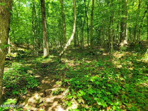 161 Sugarbush Circle