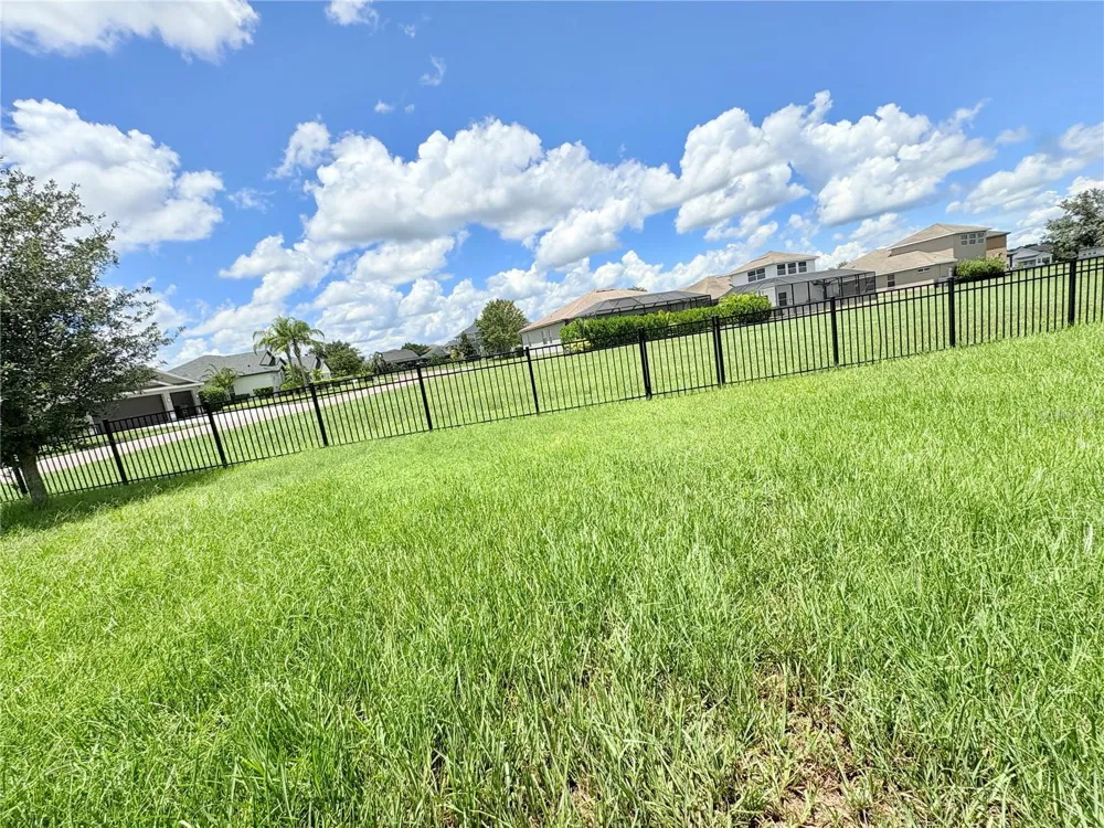 4645 BUTLER NATIONAL DRIVE Wesley Chapel, FL 33543